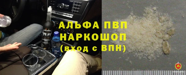 Альфа ПВП Пересвет