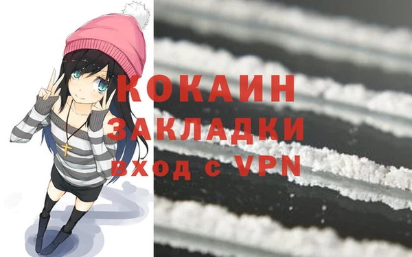 Альфа ПВП Пересвет