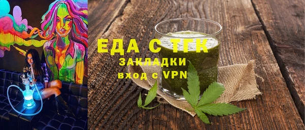 индика Елабуга