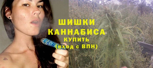 Альфа ПВП Пересвет