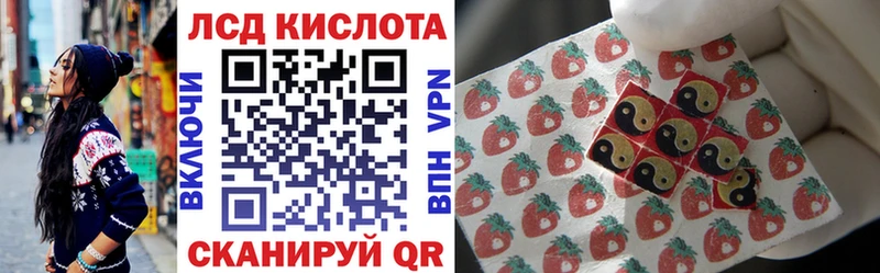 Наркотические марки 1,5мг kraken как зайти Кондопога купить наркотики цена