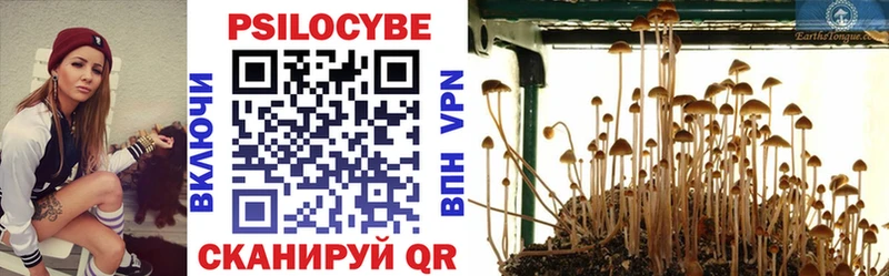 даркнет наркотические препараты  Кондопога  Псилоцибиновые грибы мицелий  даркнет сайт  kraken вход 