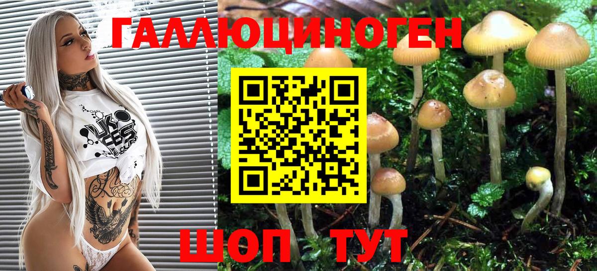 Галлюциногенные грибы прущие грибы Кондопога