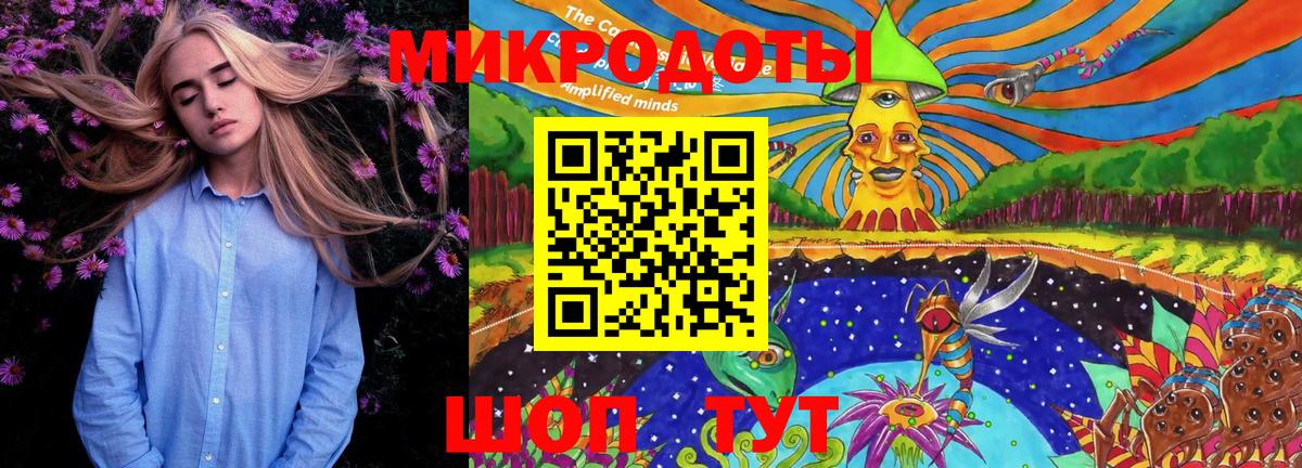 Псилоцибиновые грибы мицелий Кондопога