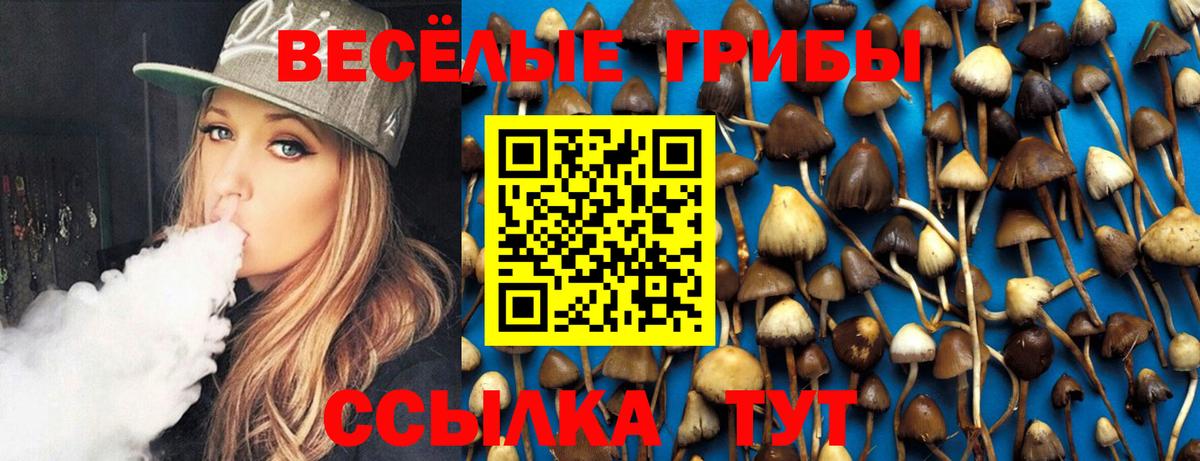 Псилоцибиновые грибы GOLDEN TEACHER  Кондопога  Галлюциногенные грибы Cubensis 