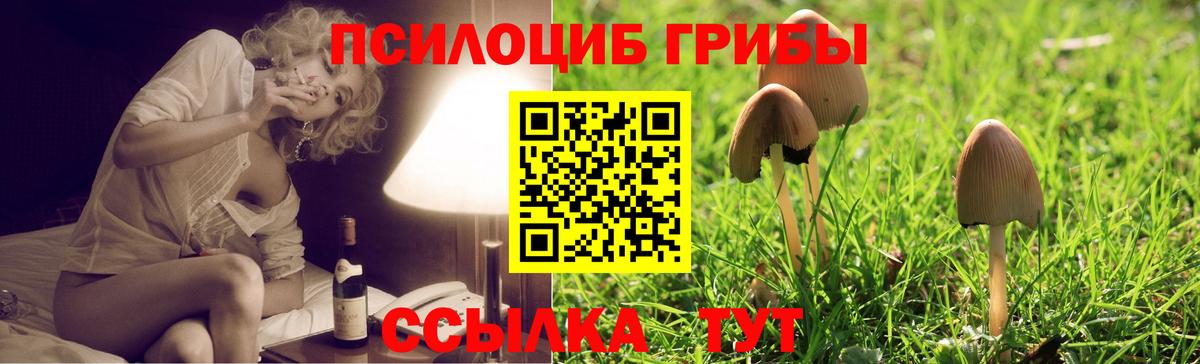 где продают наркотики  Псилоцибиновые грибы Magic Shrooms  Вход с VPN  Кондопога 